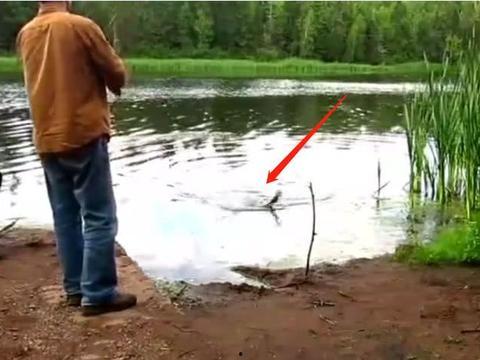 钓鱼爆料视频最新版,揭秘钓鱼技巧与陷阱  第1张